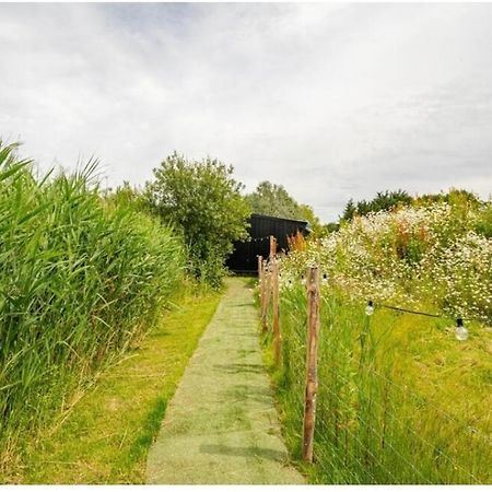 Villa Reeds Retreat Ashford  Esterno foto